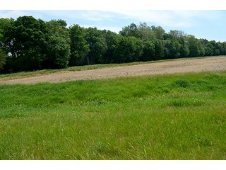 Property photo 12 - FARM & LAND AUCTION - 125+/- ACRES OFFERED IN 5 TRACTS IN EAST ALLEN COUNTY, INDIANA